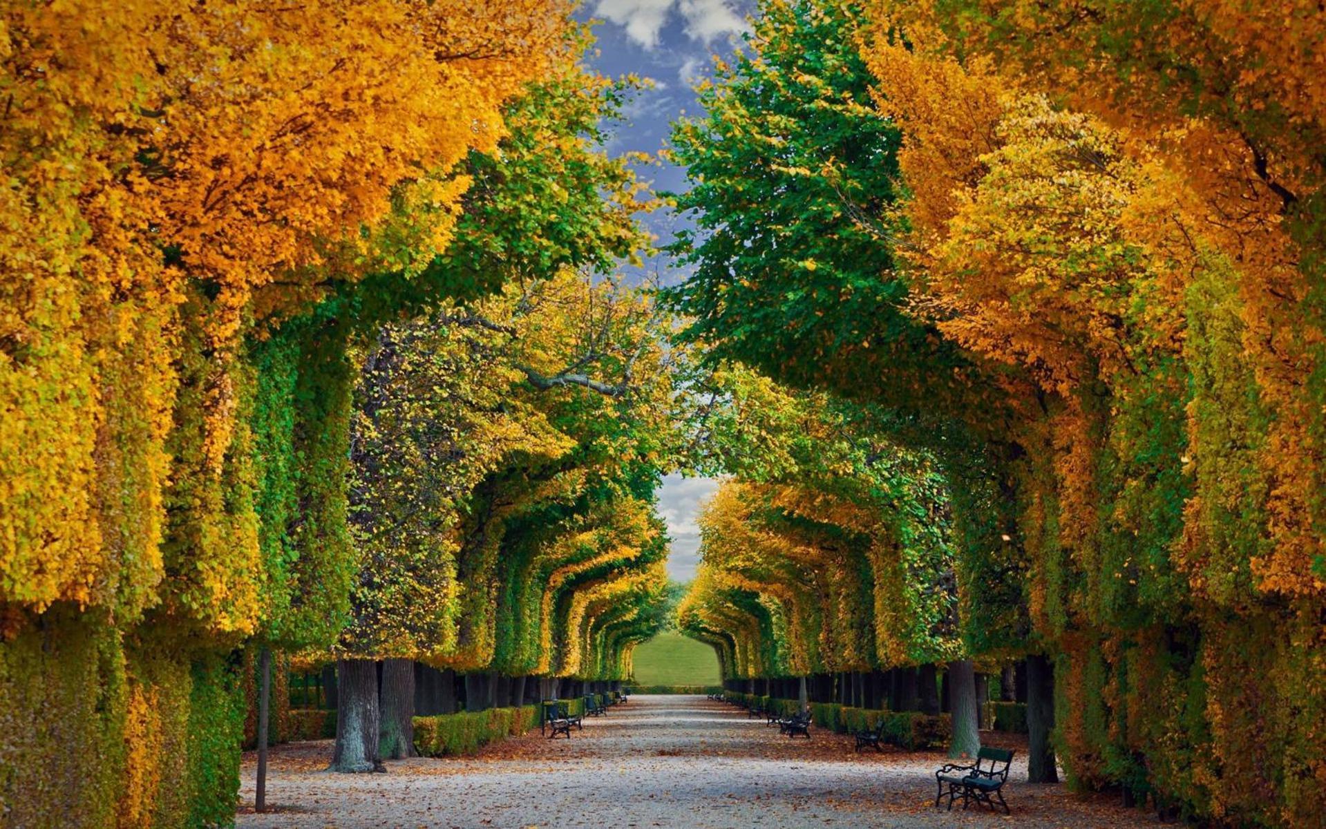 Astonishing Luxury Near Schönbrunn&westbahnhof *